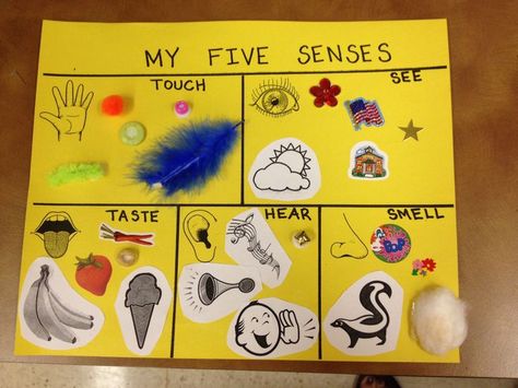 five senses ideas for preschool | 5 Senses Preschool Craft Montessori, Five Senses Sensory Bin Preschool, 5 Senses Activities, 5 Senses Preschool, Five Senses Preschool, Five Senses Crafts For Kindergarten, Senses Preschool, 5 Senses Project, Senses Activities