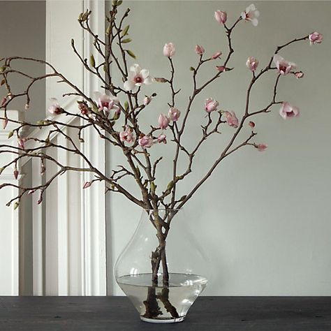 Terrain - Living Tulip Magnolia Branches Flora, Decoration, Bloemen, Vase, Hoa, Dekoration, Inredning, Bunga, Deco