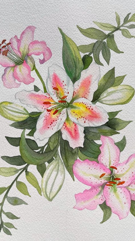 Lilly Flower, Lily Flower, Lilly Flower Drawing, Lilies Flowers, Lily Painting, Lilies Drawing, Flowers To Draw, Flower Paintings, Flowers To Paint