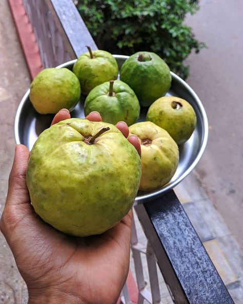 Nutrition, Summer, Fruit, Guava Juice, Guava Benefits, Guava Fruit, How To Eat Guava, Guava Leaves, Guava Leaf Tea
