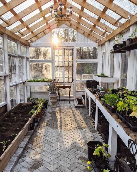 Our diy antique window greenhouse. Prepping for planting. Spring in Michigan. Home, Greenhouse Windows, Greenhouse Window, Window Greenhouse, Greenhouse Shed, Old Window Greenhouse, Large Greenhouse, Home Greenhouse, Greenhouse Ideas
