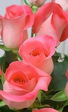 Floral, Flower Arrangements, Flowers Bouquet, Beautiful Flower Arrangements, Dahlia, Rose Flower, Beautiful Rose Flowers, Flower Garden, Flower Pictures