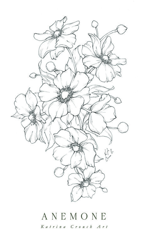 Flower Drawings | Inktober 2020 Roundup — Blushed Design Tattoo, Line Art, Flora, Tattoos, Flower Line Drawings, Flower Drawing Design, Flower Design Drawing, Flower Drawing, Flower Sketches