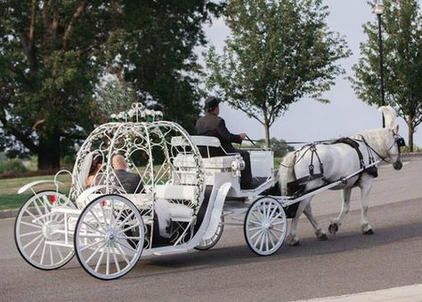 Wedding Carriage, Films, Horses, Horse And Carriage Wedding, Horse Carriage, Horse Wedding, Riding, Fairytale Wedding, White Horses