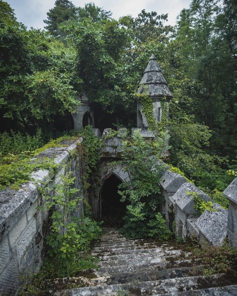 Abandoned Castles, Architecture, Ruins, Eerie Places, Abandoned Places, Abandoned Buildings, Abandoned, Overgrown, Fantasy Places