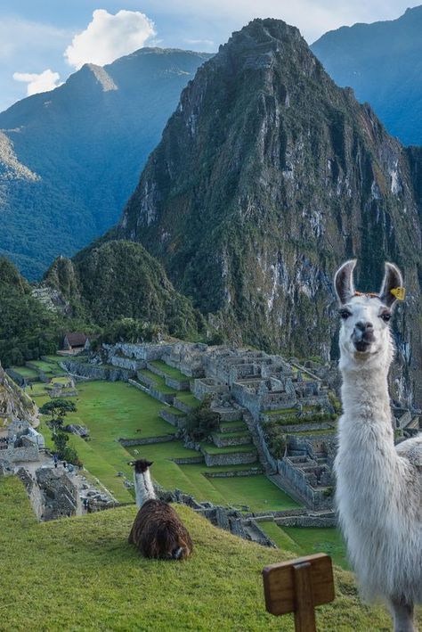 Vietnam, Peru, Buddha, Machu Picchu, Machu Pichu, Machu Picchu Peru, Peru Travel, South America, Ecuador