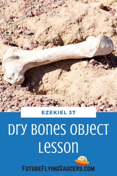 What do dry bones and two sticks have to do with Jesus? Use this Ezekiel 37 Bible Object Lesson to teach children that God is trustworthy and that new life comes through Jesus. | Bible Object Lesson for Kids | Creative Bible Teaching | Homeschool Bible Lessons Diy, Raising, Dry Bones Scripture, Lds Object Lessons, Bible Object Lessons, Youth Lessons, Childrens Sermons, Ezekiel Dry Bones, Lds Teaching