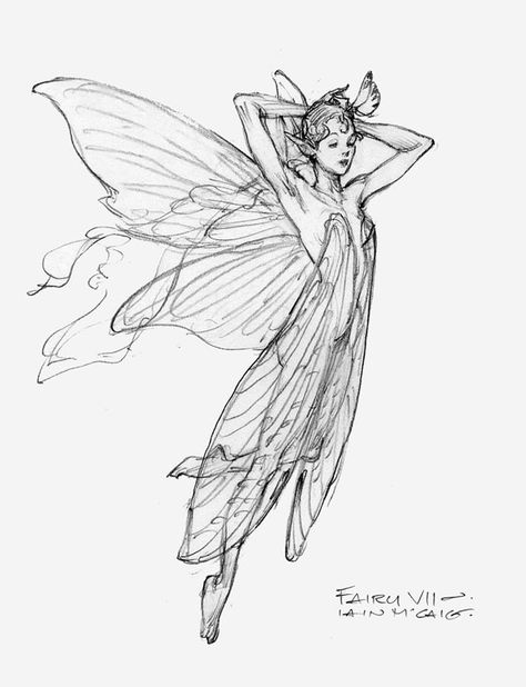 The Fairy Sketch Books of Iain McCaig: Endicott Studio for Mythic Arts Drawing Faces, Art, Drawing Tutorials, Draw, Sketches, Fairy Art, Fairy Drawings, Fairy Sketch, Drawings
