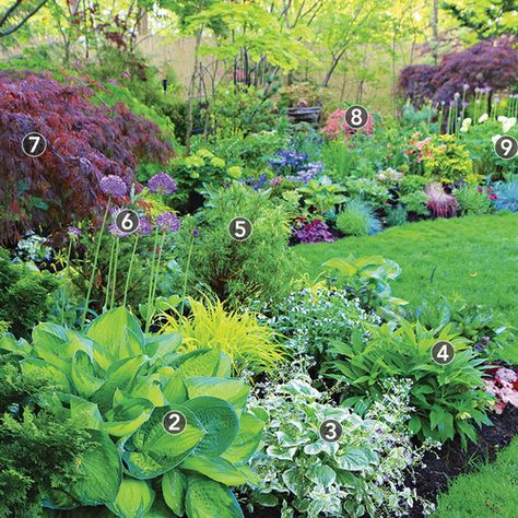 Shaded Garden, Exterior, Layout, Planting Plan, Shade Garden Plants, Shade Perennial Garden, Shade Loving Perennials, Shade Tolerant Plants, Perennial Garden