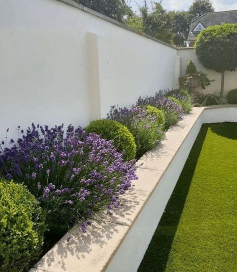 Modern Landscaping, Garden Design, Shaded Garden, Shade Garden, Garden Inspiration, Small Garden, Back Gardens, Outdoor Gardens, Lavender