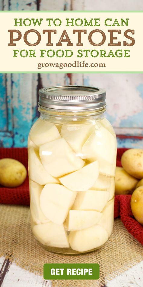 Best Ways To Preserve Potatoes, How To Can Corn In Pressure Cooker, Potato Pantry Storage, Things To Make With A Stand Mixer, Canning Oatmeal, Canning Cabinet Storage, Can You Can In An Instant Pot, Canning Shed Ideas, Canning Red Potatoes Pressure Cooker