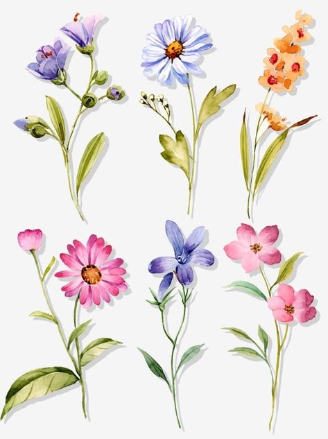 Floral, Watercolour Flowers, Pastel, Collage, Floral Watercolor, Flower Art, Flower Drawing, Wildflower Drawing, Watercolor Flower Art