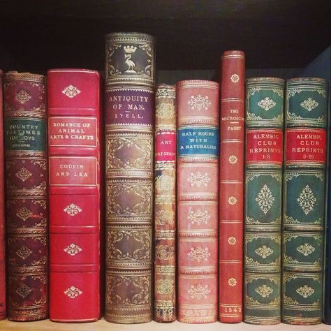 Comprehensive advice on how to begin collecting rare books, especially rare science books. Films, Book Lists, Reading, Old Books, Inspiration, Book Collection, Secret Book, Book Nooks, Book Worms