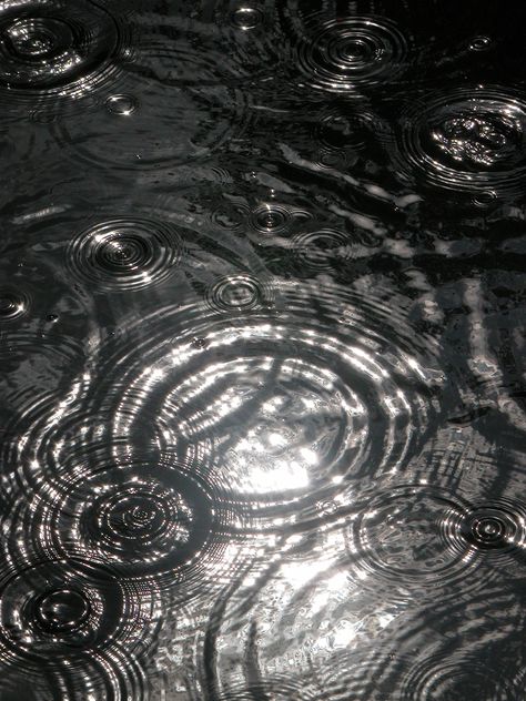 i love all the different water ripples, rings and circles created in this photo and the gloomy effect it gives in black and white. Photography, Water Photography, Rain, Fotografie, Fotografia, White Photography, Black White Photos, Photo, Black And White Photography