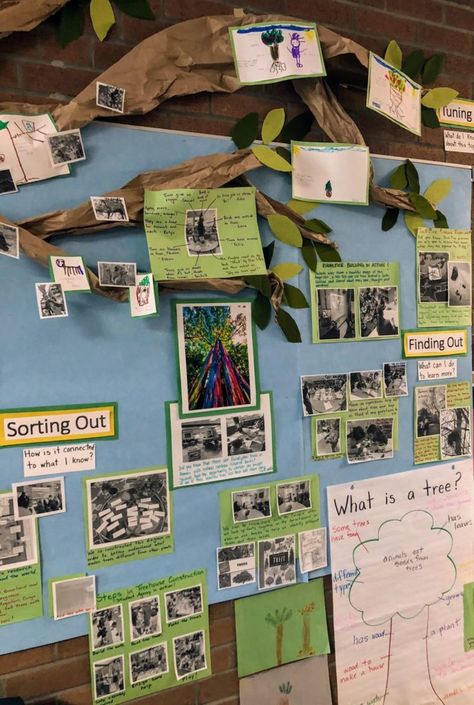 The Living Walls Project: Promoting student-centred learning, inquiry, action and reflection | SharingPYP Blog Nature, Pre K, Inquiry Project, Classroom Documentation, Inquiry Learning, Kindergarten Inquiry, Inquiry Based Learning Kindergarten, Learning Environments, Student Centered Classroom
