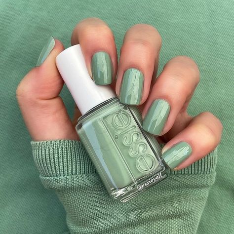 Rachel • essieyall on Instagram: “🔮New🔮 from the @essie Crystal Clear Intentions Collection is {Jade It Happen}. This is such a lovely soft green 😍😍 Two super smooth coats…” Instagram, Mint Nail Polish, Mint Green Nail Polish, Essie, Green Nail Polish, Nail Polish Colors, Mint Green Nails, Nail Polish Sets, Nail Colors