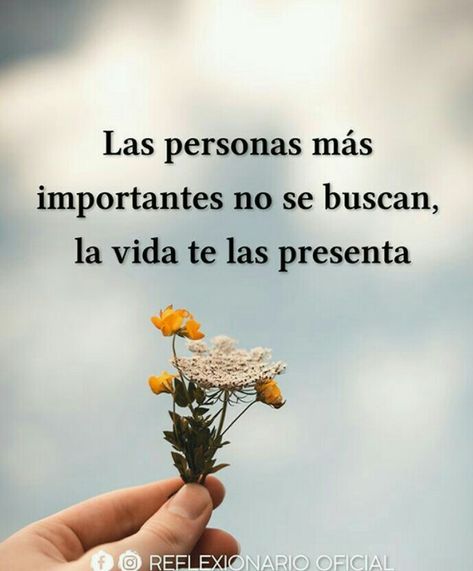 Life Quotes, Motivation, Spanish Quotes, Amor Quotes, Frases, Positivity, Spanish Inspirational Quotes, Parole, Phrase