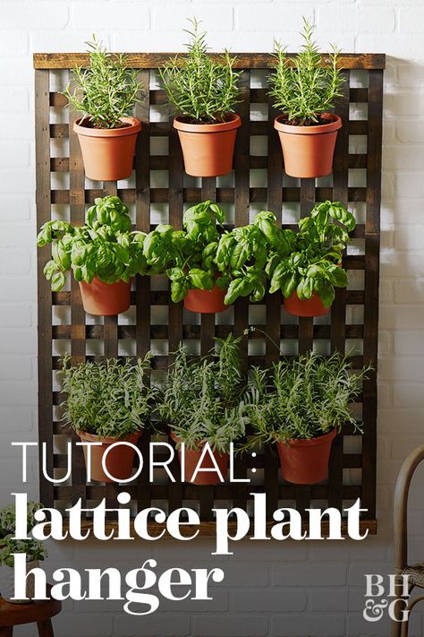 Keep fabulous herbs or flowers in one place on your wall. This DIY lattice plant hanger is streamlined and simple to make. #craftideas #diyideas #easydiy #easyfuncrafts #bhg Gardening, Diy Wall Planter, Outdoor Plant Hanger, Plant Hanger, Herb Garden Wall, Wall Plant Hanger, Hanging Herb Gardens, Plant Wall Diy, Outdoor Herb Garden