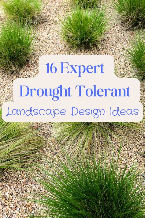 Drought tolerant landscape, rockscape with plants in it Indore, Kentucky, Outdoor, Minna, Inspo, Tuin, Xeriscape, Xeriscaping, Design Ideas