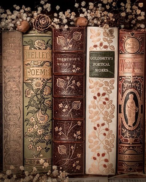 Clair on Instagram: “Autumnal vibes and vines with this selection of vintage poetry book spines. In this line up are antique books by William Wordsworth, Percy…” Art Nouveau, Old Books, Antique Books, Inspiration, Vintage Book Covers, Vintage, Vintage Library, Vintage Books, Antique Aesthetic