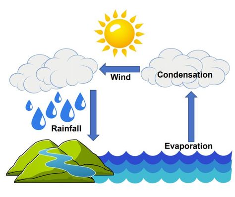 Museums, Technology, Water, Art, Rain, Sky, Water Cycle, Rain Cycle, Water Droplets