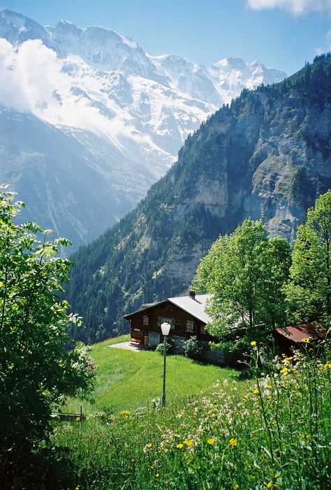 Gimmelwald, Switzerland Bergen, Inspiration, Vacation, Voyage, Beautiful Places, Scenic, Voyage Europe, Dream Vacations, Places To See