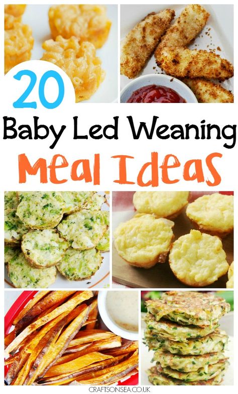 Baby Led Weaning Family Recipes Baby Food Recipes, Homemade Baby Foods, Toddler Meals, Homemade Baby Food, Baby Weaning, Baby Led Weaning First Foods, Baby Led Weaning Recipes, Healthy Baby Food, Baby First Foods