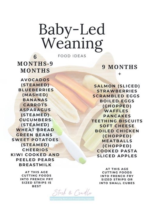 6 Month Old Weaning Ideas, Six Month Food Ideas, Food For My 6 Month Old, 6 Month Old Solid Food Ideas, Feeding A 9 Month Old Baby, Solids For 9 Month Old, Six Month Old Food Ideas, Foods To Introduce To 6 Month Old, Food Ideas 9 Month Old