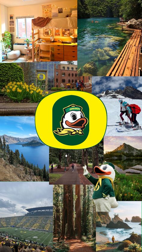 #oregon #university #collage College Life, Oregon, Dream School, College, Dream College, Green Aesthetic, Places To Go, College Bound, College Board