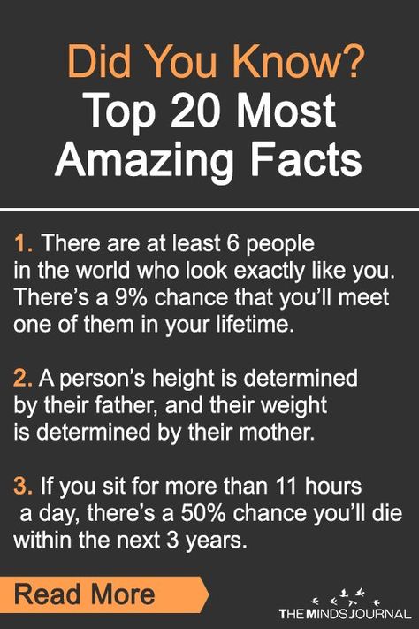 Did You Know? Top 20 Most Amazing Facts - https://themindsjournal.com/did-you-know-top-20-most-amazing-facts/ Humour, Psychology Facts, Did You Know Facts, Facts You Didnt Know, Did You Know, Psychology Fun Facts, Interesting Psychology Facts, Intresting Facts, Useless Knowledge