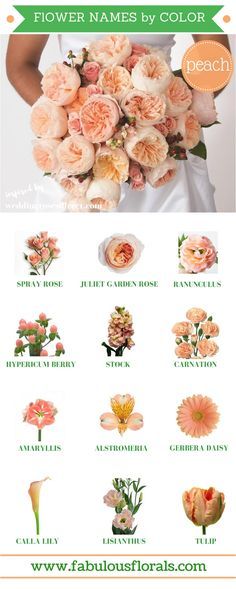 Wedding Flowers, Wedding Bouquets, Bouquets, Floral Arrangements, Diy Wedding Flowers, Wedding Flower Types, Flowers Bouquet, Peach Wedding Flowers, Flower Arrangements