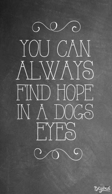 Let them be your inspiration.  #dogquotes #dogmom #dogmemes #doglovers #dogmomlife #dogsandpuppies Blogging Inspiration, Dog Eyes, Social Networking Sites, Writing Styles, Describe Yourself, What You Can Do, Social Networks, Lifestyle Blog, Improve Yourself
