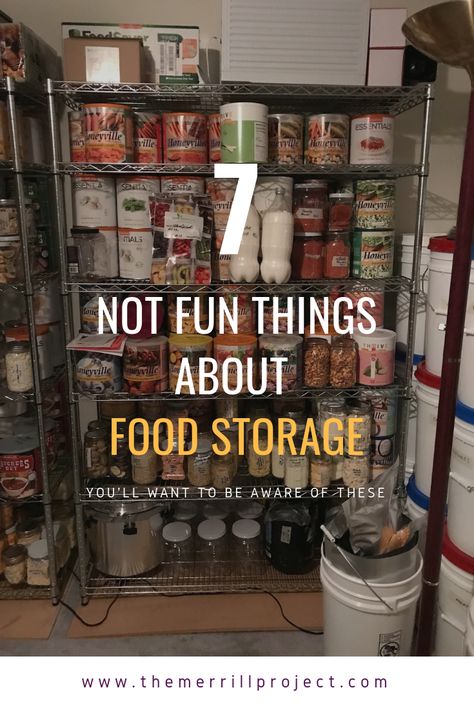 I love how much money and time and stress food storage can save me.  But there are some things that aren't so great about it... | food storage problems | stockpiling problems | emergency preparedness problems | Food Storage, Food Storage Organization, Emergency Food Storage, Food Storage Rooms, Emergency Preparedness Food Storage, Emergency Food Supply, Long Term Food Storage, Emergency Preparedness Food, Canned Food Storage