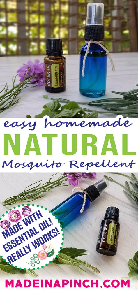 Outdoor, Bugs And Insects, Mosquito Repellent Lotion, Mosquito Repellent Oils, Mosquito Repellent Essential Oils, Homemade Mosquito Repellant, Homemade Mosquito Repellent For Skin, Mosquito Repellent Spray, Lavender Mosquito Repellent