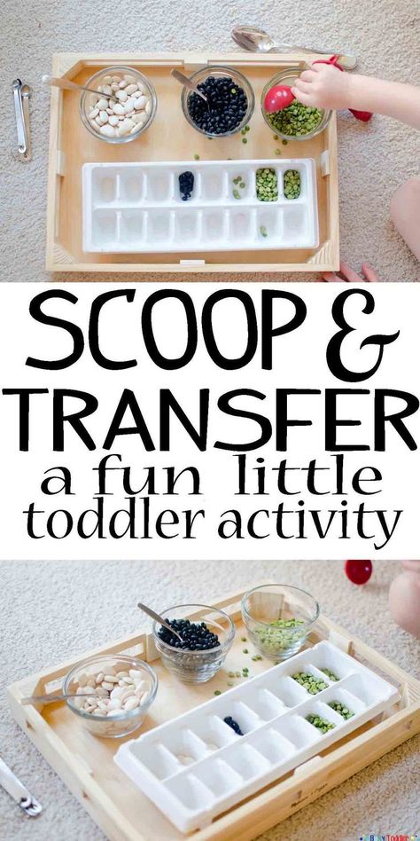 SCOOP AND TRANSFER: A simple toddler activity that's fun to play Montessori, Montessori Toddler, Toys, Play, Pre K, Toddler Activities, Toddler Learning Activities, Toddler Cleaning, Educational Baby Toys
