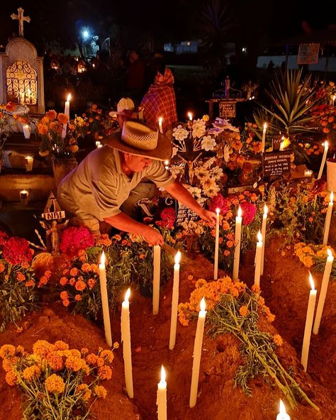 Día de Muertos Celebration Instagram, Mexico, Visit Mexico, Day Of The Dead, Dia De Los Muertos, Temple Bells, Day Of Death, Holiday Decor, Dead
