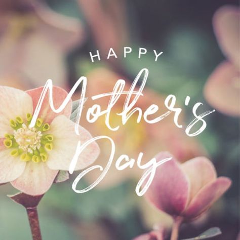Happy Mother's Day. Happy Mother's Day Greetings, Mothers Day Images, Happy Mothers Day, Happy Mothers Day Images, Happy Mother's Day Images Pictures, Happy Mom Day, Mothers Day Wishes Images, Happy Mothers, Mothers Day Pictures