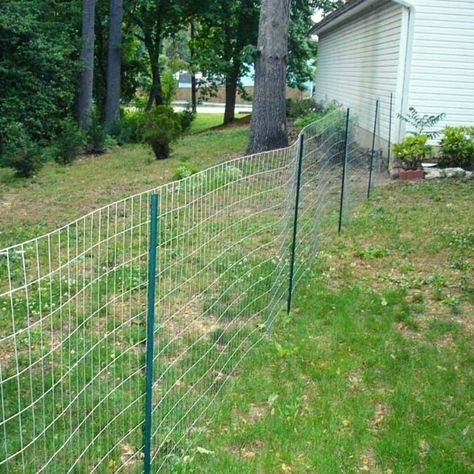 Quick and Easy Dog Fence Ideas | Social Doggy Club Fence, Dogs, Fencing, Diy Fencing, Diy Fence, Outdoor Structures, Cheap Diy, Google Search