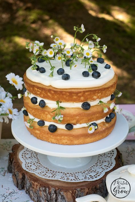Patisserie, Tart, Brunch, Desserts, Cake, Blueberries, Dessert, Tea Party Cake, Cake Decorating