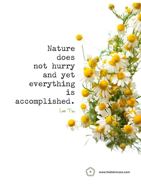 Nature does not hurry and yet every thing is accomplished. Inspiration - The Magic Onions Inspirational Quotes, Inspiration, Life Quotes, Wisdom, Motivation, Wise Words, Nature Quotes, Spring Quotes, Blessings
