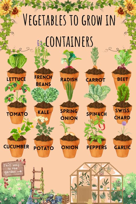 Gardening, Vegetable Garden In Containers, Small Vegetable Gardens, Vegetable Garden Planning, Vegetable Garden For Beginners, Home Vegetable Garden, Container Gardening Vegetables Pots, Container Gardening Vegetables, Growing Vegetables In Pots