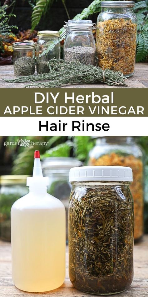 Herbs For Hair, Natural Cough Remedies, Apple Cider Vinegar Hair Rinse, Natural Cold Remedies, Vinegar Hair Rinse, Apple Cider Vinegar For Hair, Vinegar For Hair, Apple Cider Vinegar Rinse, Vinegar Rinse