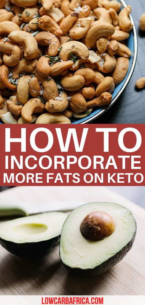 Low Carb Recipes, Smoothies, Paleo, Fitness, Ketogenic Diet, Courgettes, Healthy Fats List, High Fat Diet, Ketogenic Diet Meal Plan