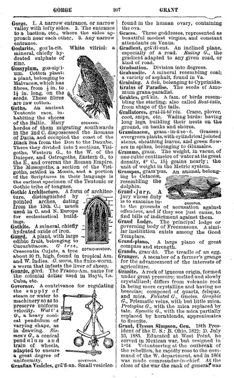 vintage encyclopedia page illustration Design, Vintage, Vintage Posters, Collage, Encyclopedia Illustration, Vintage Dictionary, Encyclopedia, English Book, Ephemera