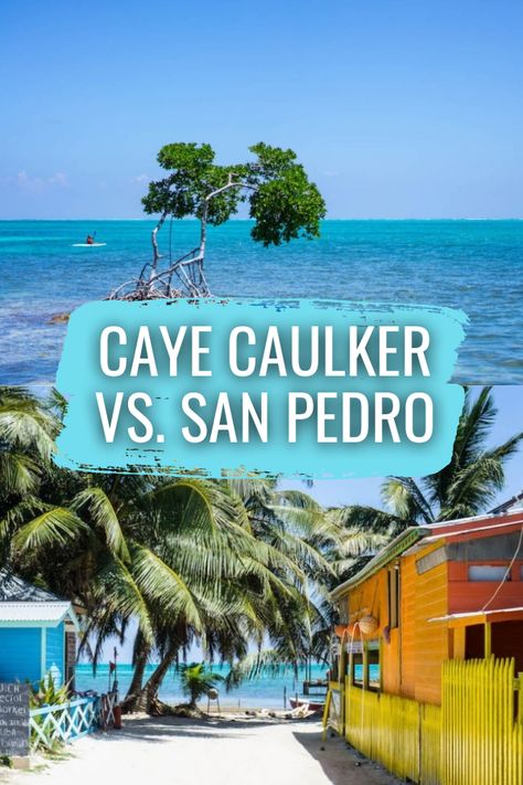 Caye Caulker, Belize City, Destinations, Panama, Belize All Inclusive, Belize Cruise, Caribbean Travel, Belize, Belize Beach