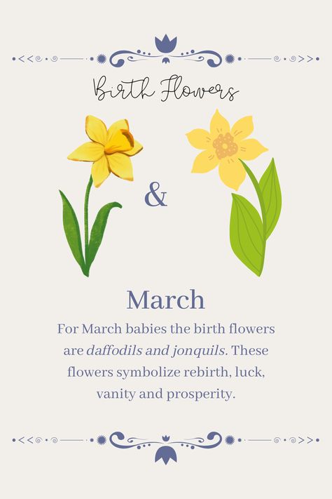 For March babies the birth flowers are daffodils and jonquilsThese flowers symbolize rebirthluckvanityand prosperityjxstmxxn_ Ideas, Zodiac, Crochet, Draw, Piercing, Floral, Hochzeit, Hoa, My Flower