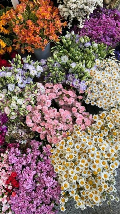 Flowers, Instagram, Vintage, Resim, Spring Aesthetic, Flower Aesthetic, Flores, Flower Wallpaper, Beautiful Flowers Wallpapers