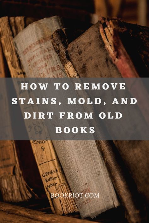 Thanks for the shout out in your article, BookRiot & Anna Gooding-Call!  "How To Clean Books: Remove Stains, Mold, and Dirt From Old Books" features a link to our article on cleaning mold and mildew from books. Cleaning, Upcycling, Diy, Reading, Brad Paisley, Cleaning Mold, Cleaning Organizing, Remove Stains, Cleaning Solutions