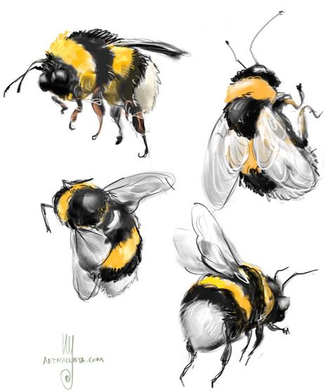 Painting & Drawing, Ink, Painting Techniques, Bugs And Insects, Bee Sketch, Bee Painting, Bee Drawing, Bee Artwork, Watercolour