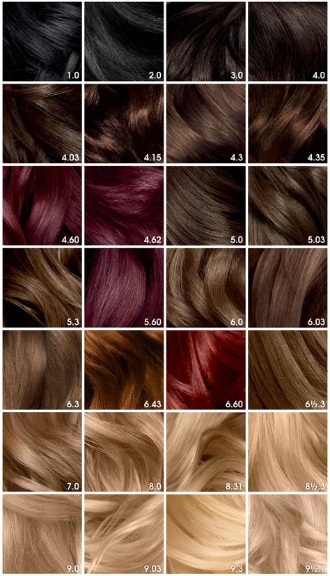 Dark Hair, Redken Hair Products, Olia Hair Color, Redken Hair Color, Garnier Hair Color, Red Hair Color, Caramel Red Hair Color, Brown Hair Colors, Honey Blonde Hair
